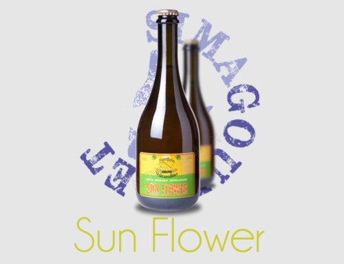 Birra del mese: SUNFLOWER